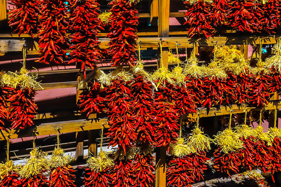 Racks Of Chili Peppers Photograph by Garry Gay
