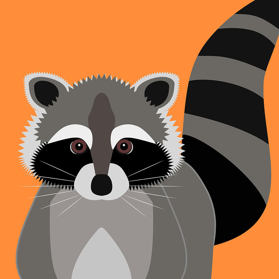 Raccoon Mischief Digital Art by Antique Images
