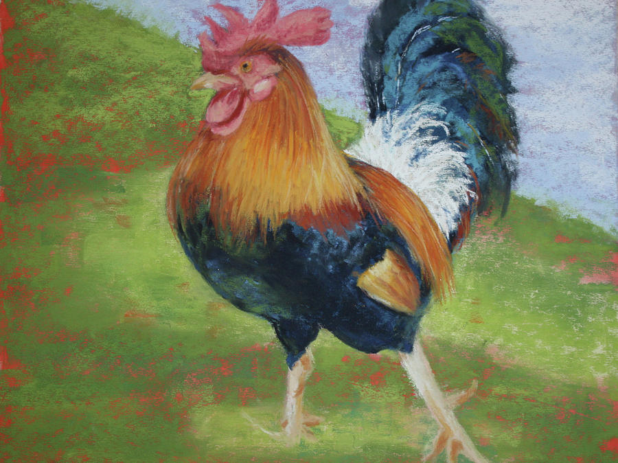 Racy Rooster Pastel by Cheryl O'Neil - Fine Art America