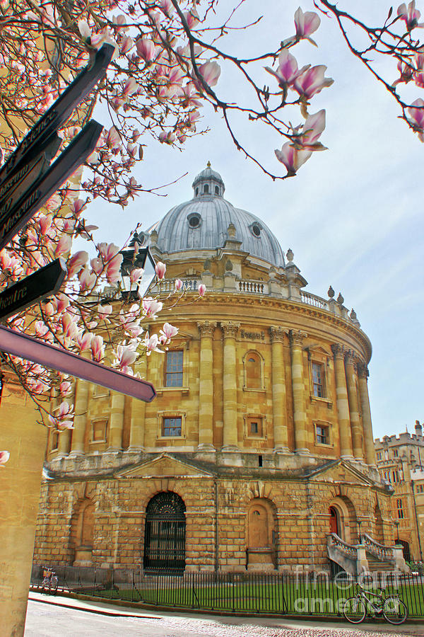 Architecture Photograph - Radcliffe Camera Bodleian Library Oxford  by Terri Waters