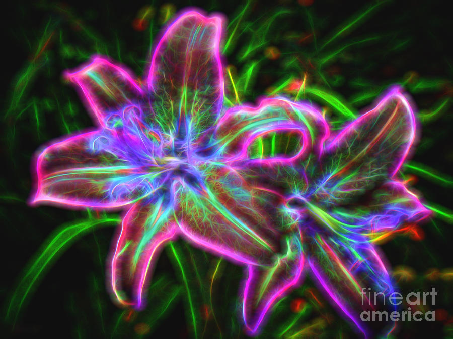 Radiant Neon Lilies Photograph by Sue Melvin