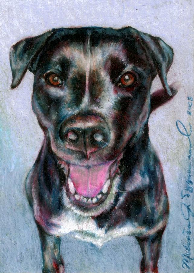 Radiant Radley Drawing by Melissa J Szymanski - Fine Art America