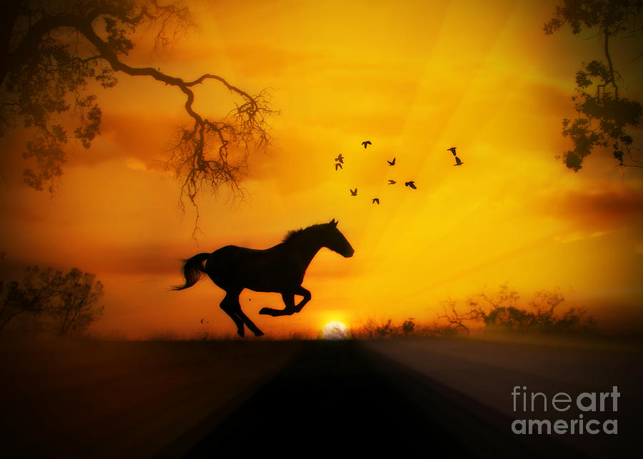 Radiant Run Horse and Sunrise Photograph by Stephanie Laird