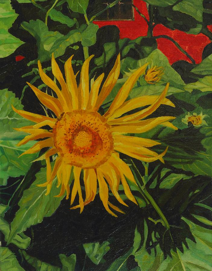 Radiant Sunflower Painting by Phil Chadwick