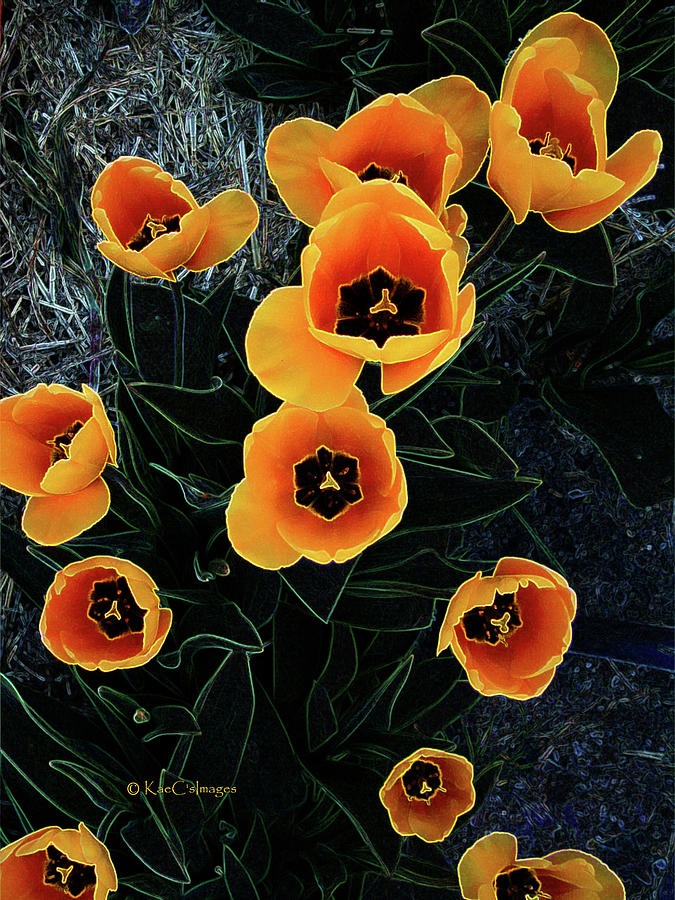 Radiant Tulips Mixed Media by Kae Cheatham