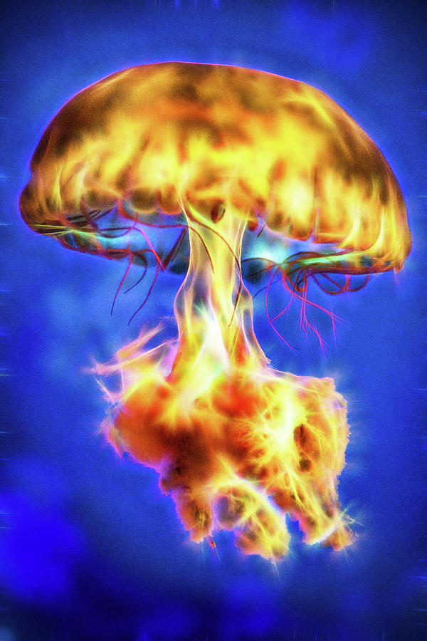 Radioactive Jellyfish Photograph by Don Johnson