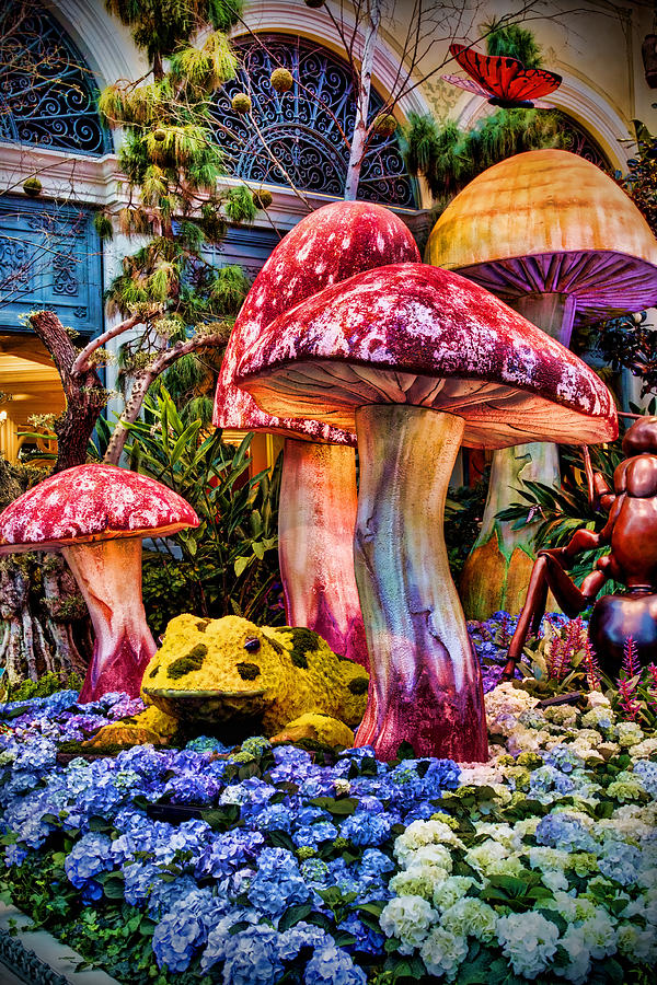 Mushroom Photograph - Radioactive Mushrooms by Ricky Barnard