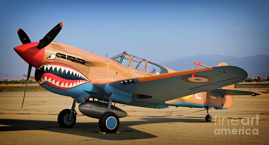 RAF Curtiss-Wright P-40 Warhawk Photograph by Gus McCrea