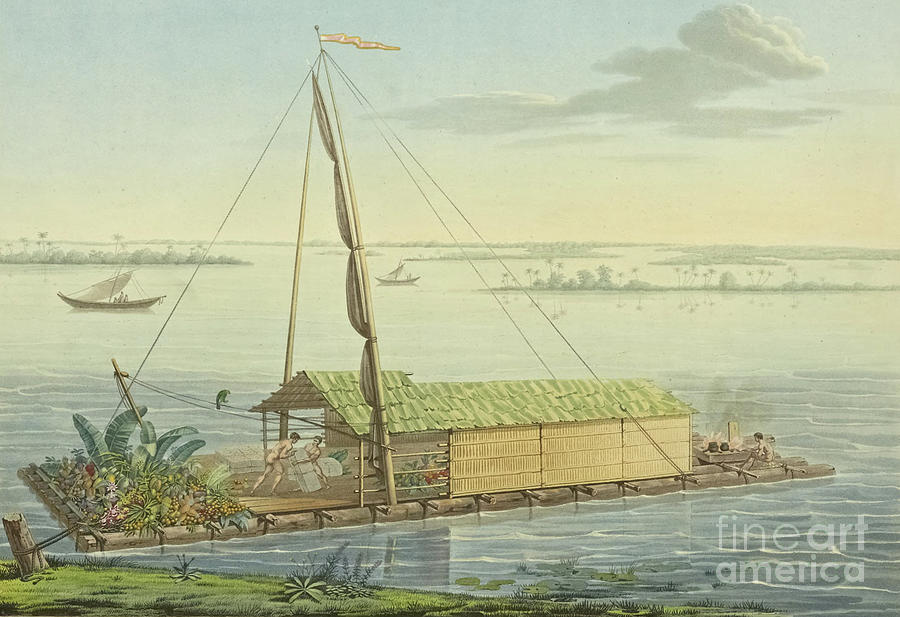 Vegetable Painting - Raft on the River Guayaquil by Alexander von Humboldt