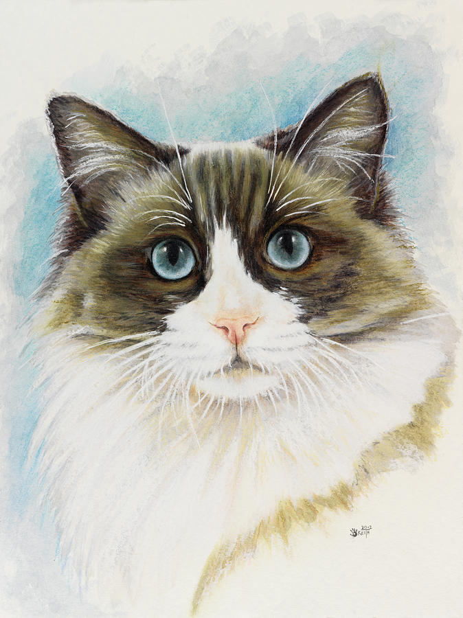 Ragdoll Portrait in Watercolor Painting by Barbara Keith