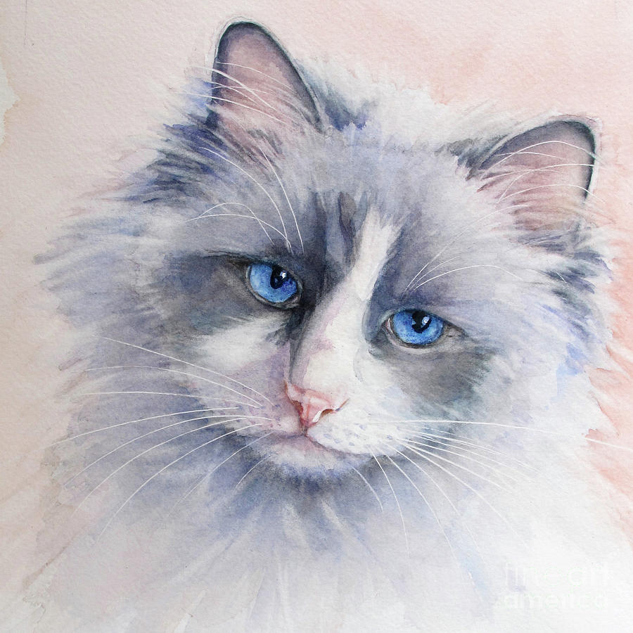 Ragdoll Cat Painting by Bonnie Rinier