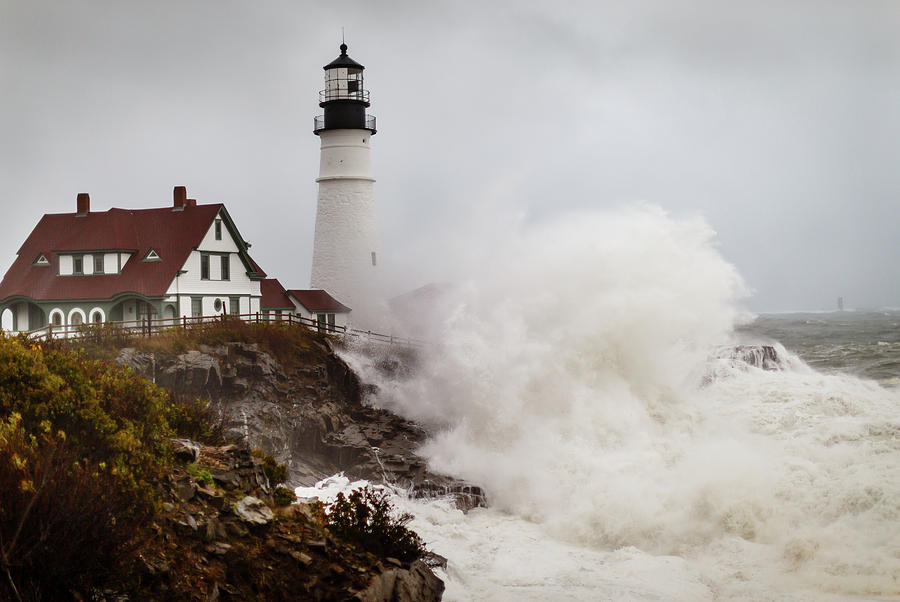 Rage Photograph by Rick Browne | Fine Art America