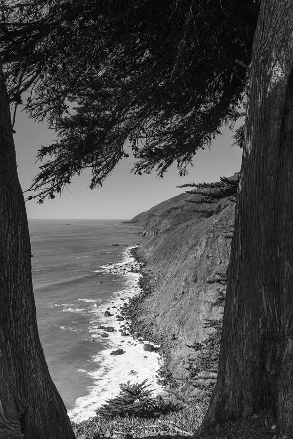Ragged Point in Black and White Photograph by John McGraw