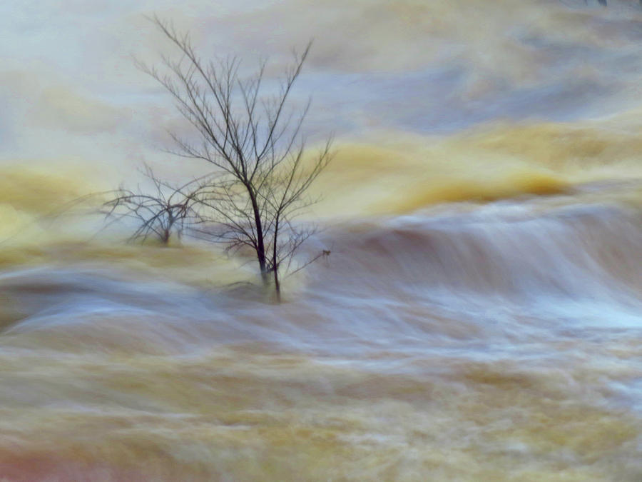Raging River Digital Art by Kathleen Illes