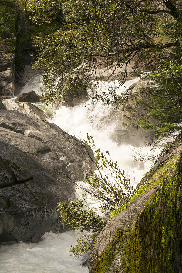 Waterfall Photograph - Raging Rock Creek by Frank Wilson