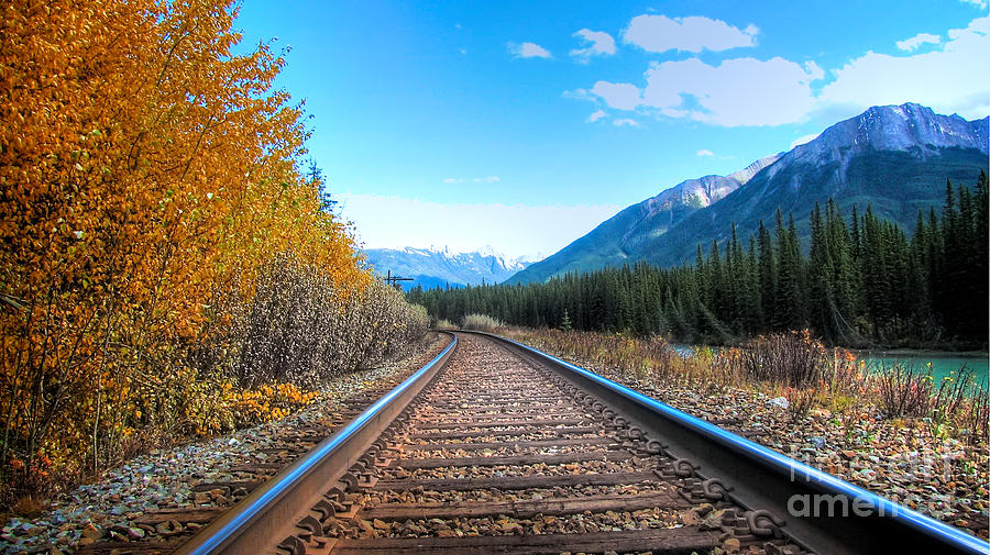Banff National Park Photograph - Rail Road of Life by Will Cardoso
