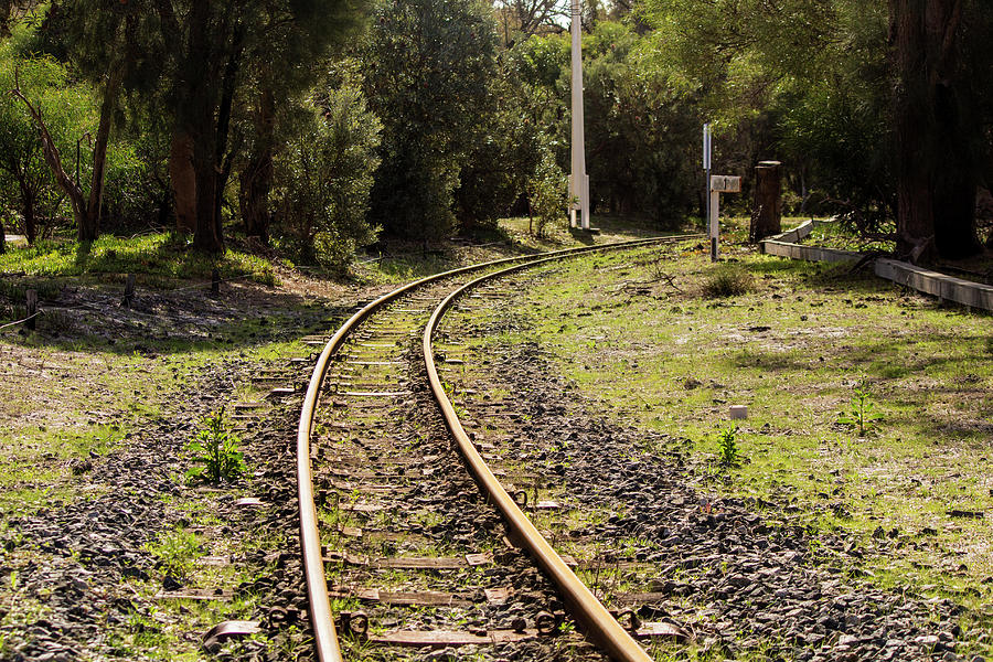 Rail Tracks 2 Photograph by Tania Read