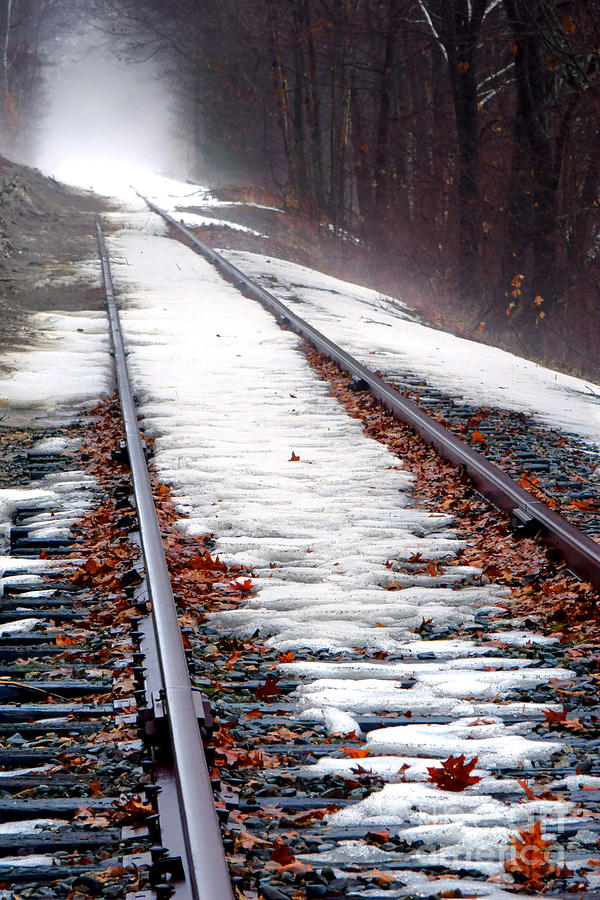 Rail Tracks in Winter Photograph by Olivier Le Queinec