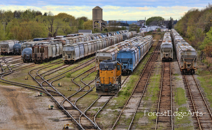 Rail yard of Ludington Photograph by Dick Bourgault