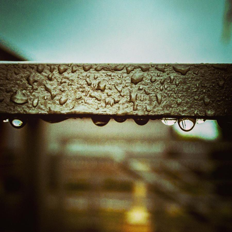 Fall Photograph - Railing  Raindrops,  Up Close by Alex Haglund
