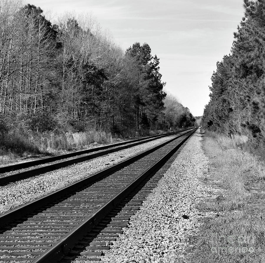 Railroad 8x8 Photograph by Skip Willits