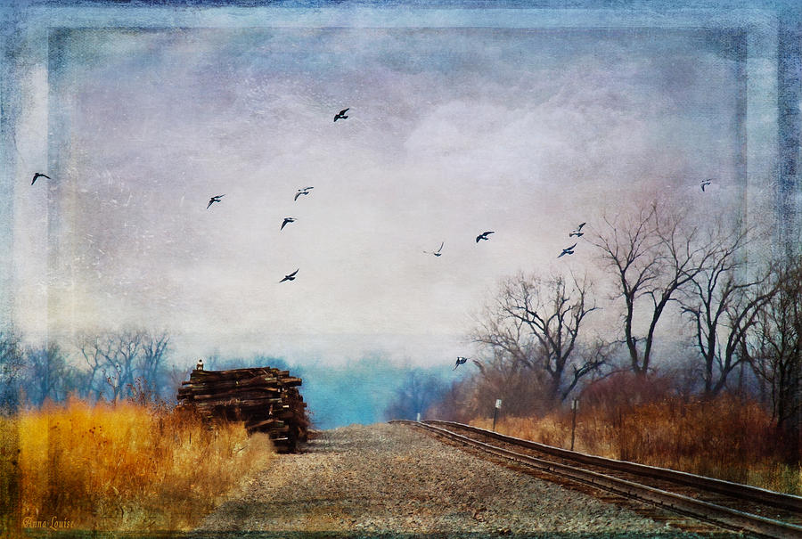 Railroad Birds Photograph by Anna Louise
