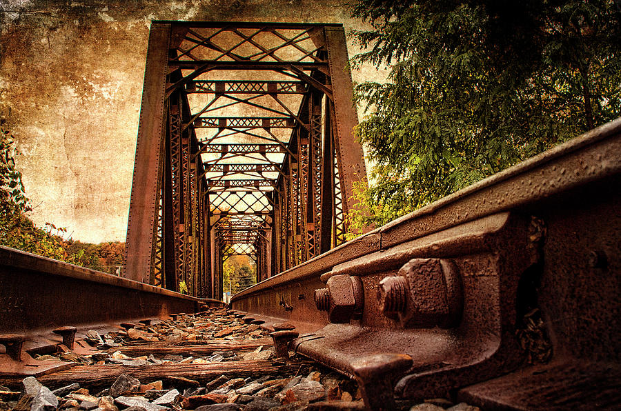 Tree Photograph - Railroad Bridge by Cindi Ressler