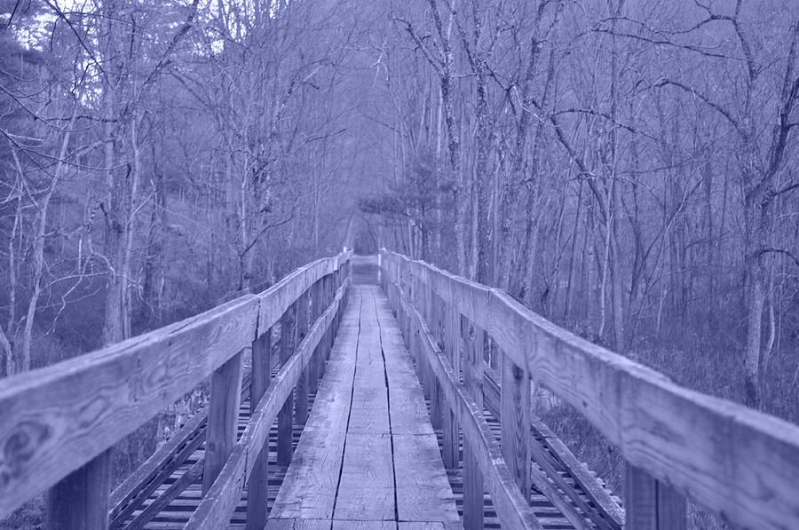 Bridge Photograph - Railroad Bridge by Trish Tritz