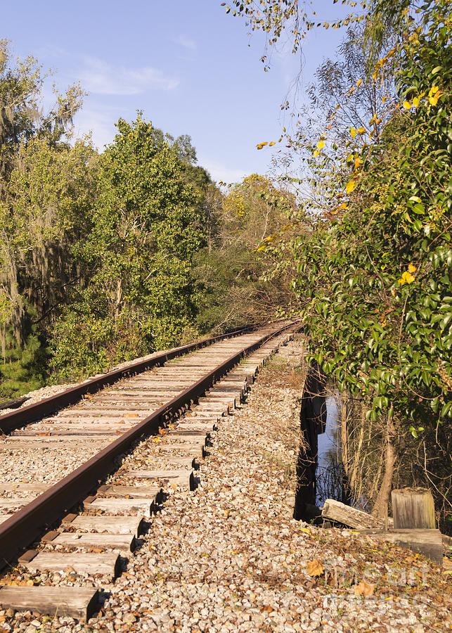 Railroad in Conway South Carolina November Afternoon Photograph by MM Anderson