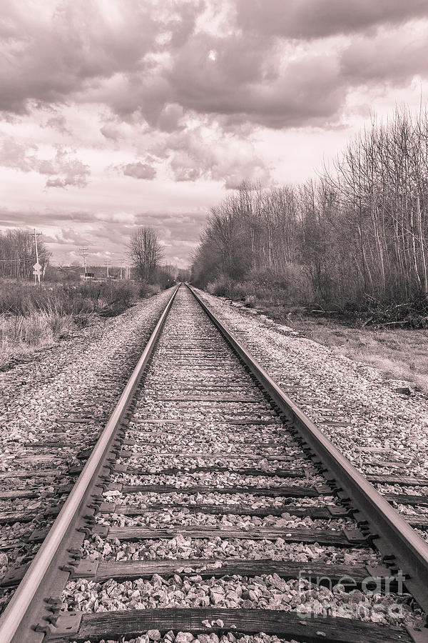 Railroad in Vermont - monochrome Photograph by Claudia M Photography