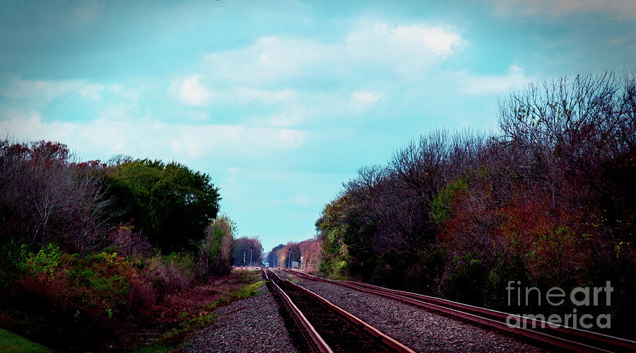 Railroad to Nowhere Photograph by JB Thomas