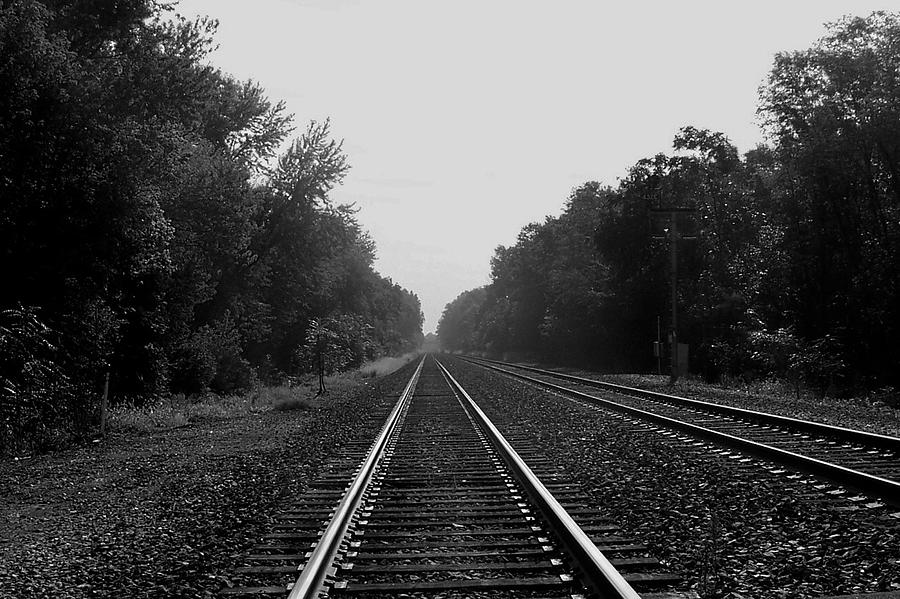 Railroad to Nowhere Photograph by Trish Tritz