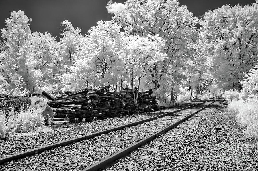 Railroad Tracks Bw Photograph