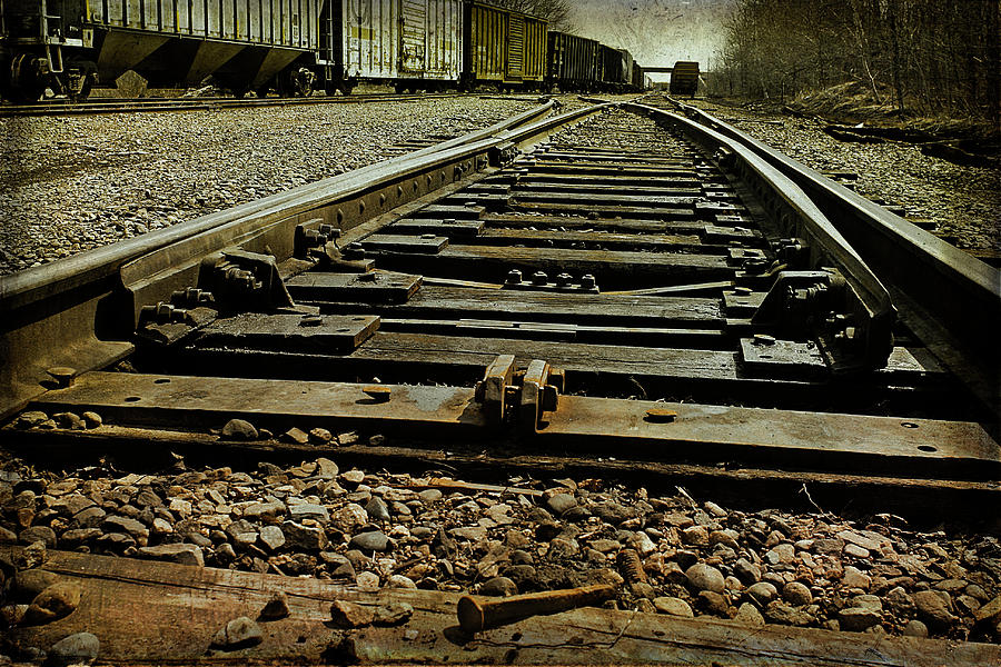 Railroad Tracks Photograph by Cindi Ressler