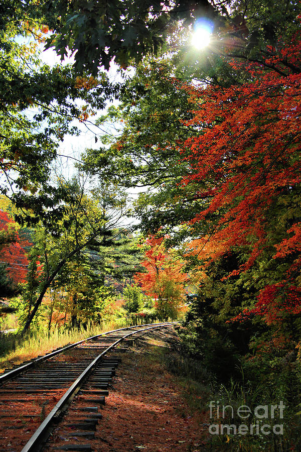Railroad Tracks in Fall Photograph by Sandra Huston