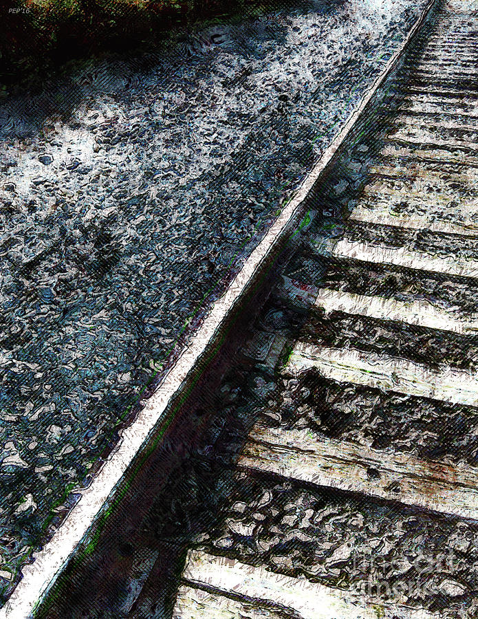 Railroad Tracks Photograph by Phil Perkins