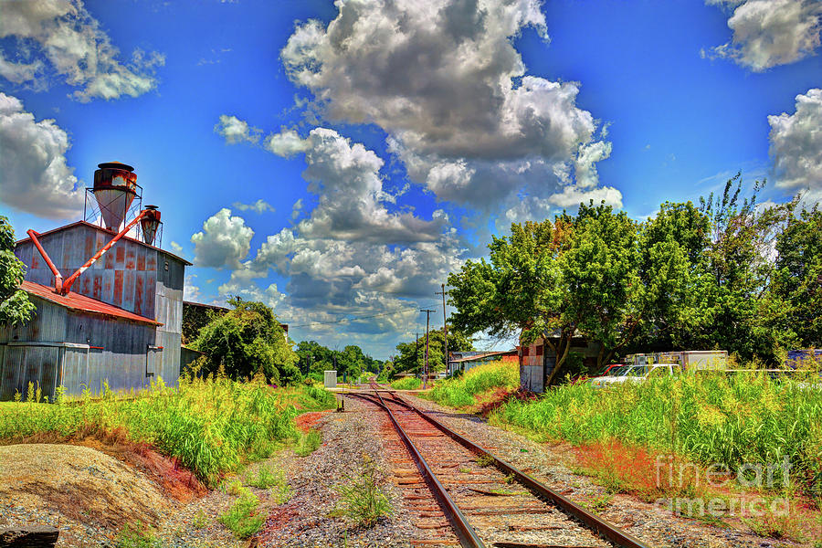 Railroad Tracks Photograph