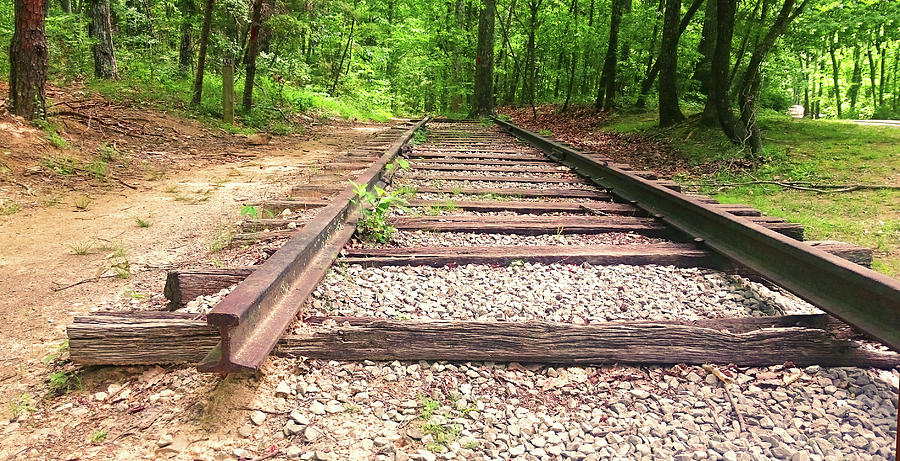 Railroad Tracks to Neverland Painting by Patricia Awapara