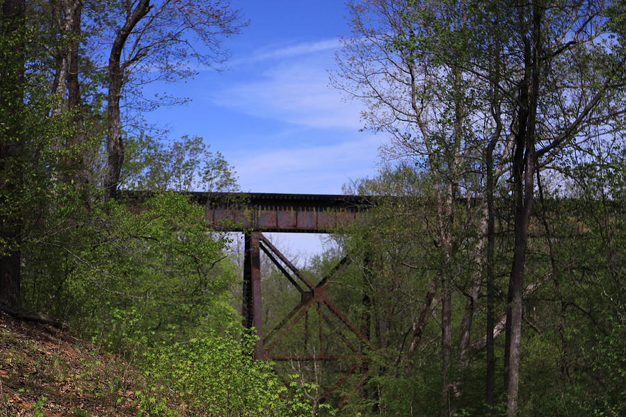 Railroad Tressel Photograph by Karen Ruhl - Fine Art America