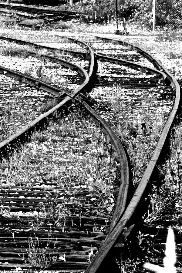 Rails Photograph by Brian Sereda