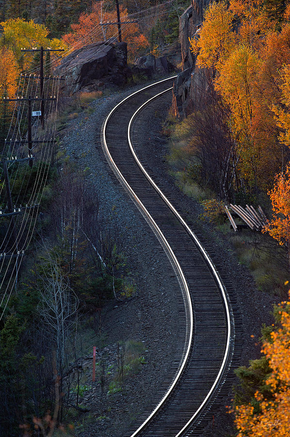 Rails Photograph by Doug Gibbons
