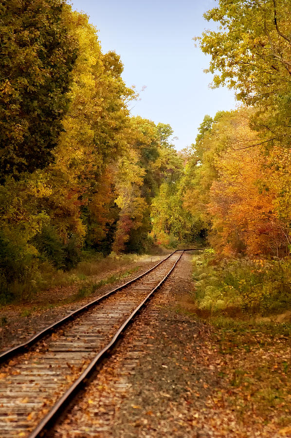 Rails Into Autumn Photograph by Ross Powell