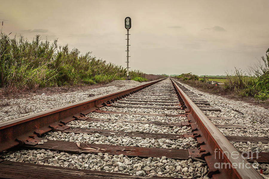 Rails to the Horizon Photograph by Tom Claud