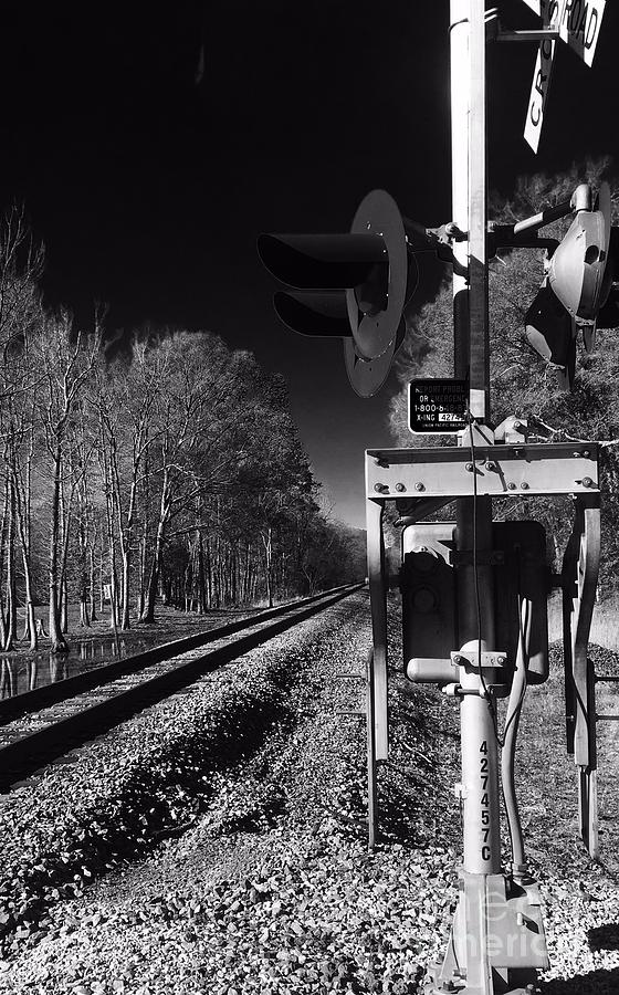 Railway 2 Black And White Photograph