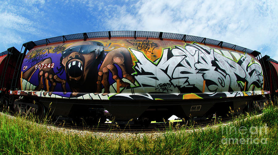 Railway Graffiti Genius 1 Photograph by Bob Christopher
