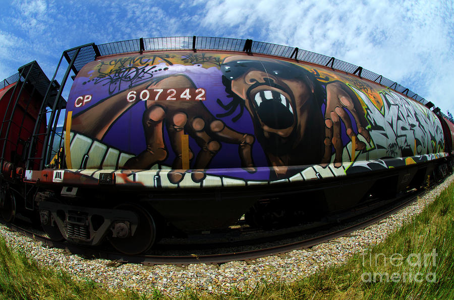 Railway Graffiti Genius 2 Photograph by Bob Christopher