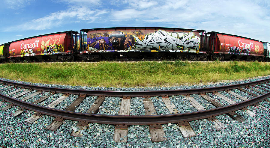 Railway Graffiti Genius 4 Photograph by Bob Christopher