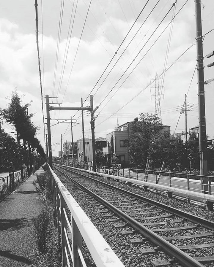 Train Photograph - Railway by Kumiko Izumi