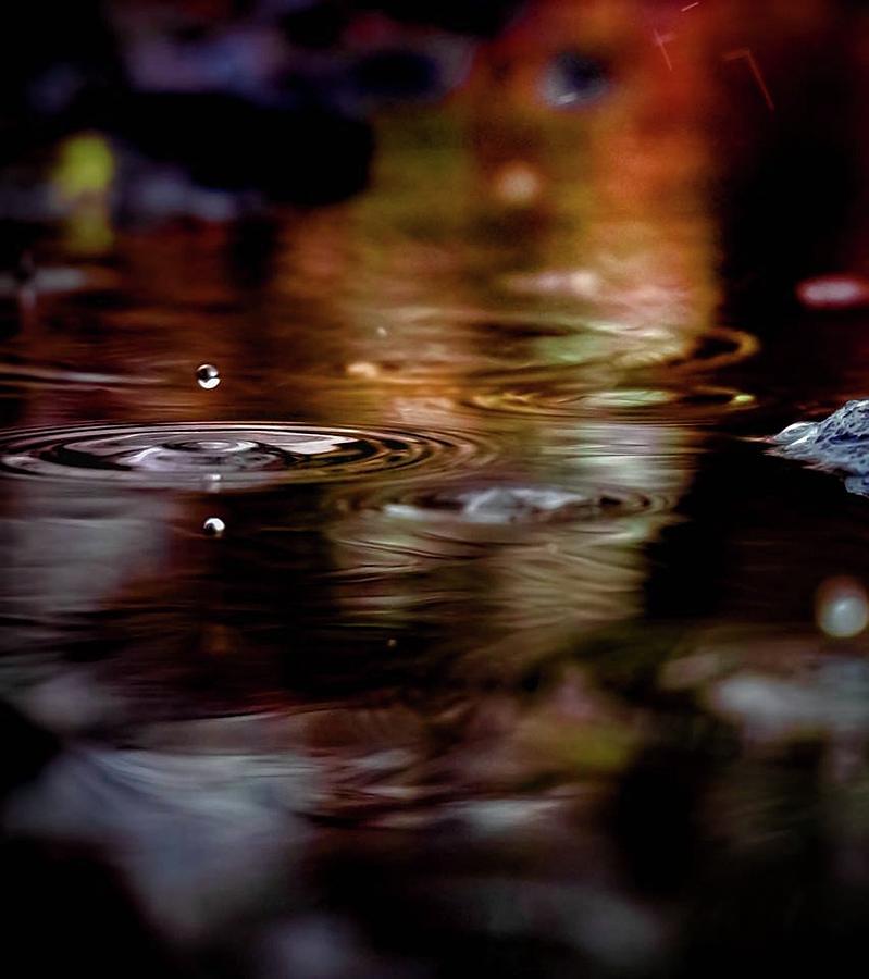 Rain 3 Photograph by Jessie Henry