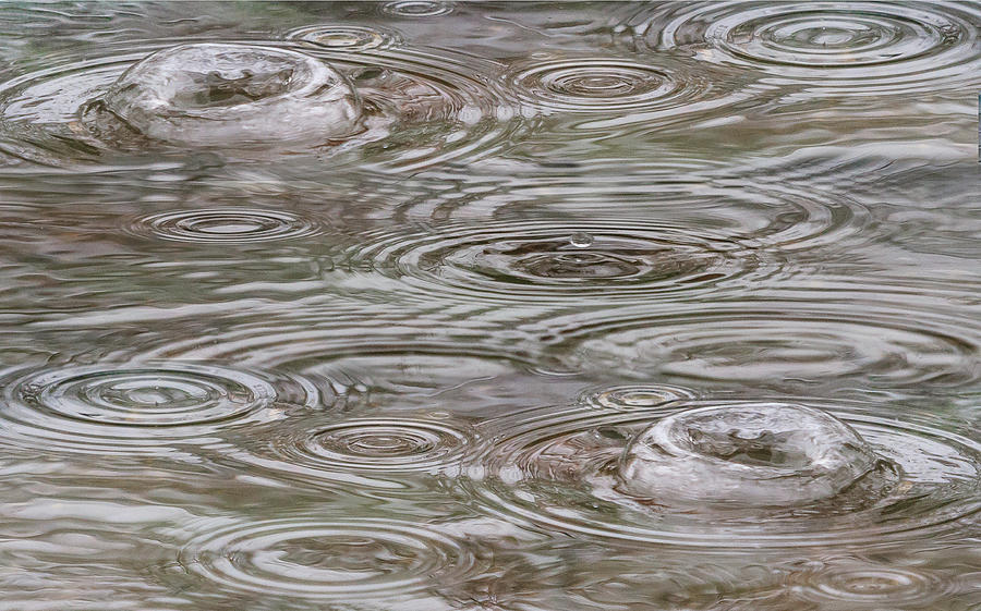 Rain Abstract Photograph by Joni Eskridge